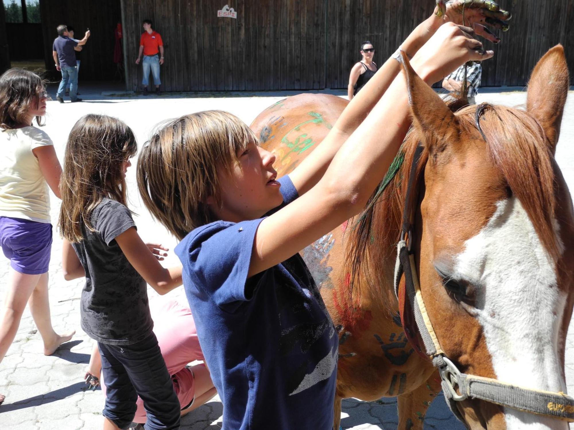 Espi-Stables Ferienhof Esterhammer Liebenau  Kültér fotó