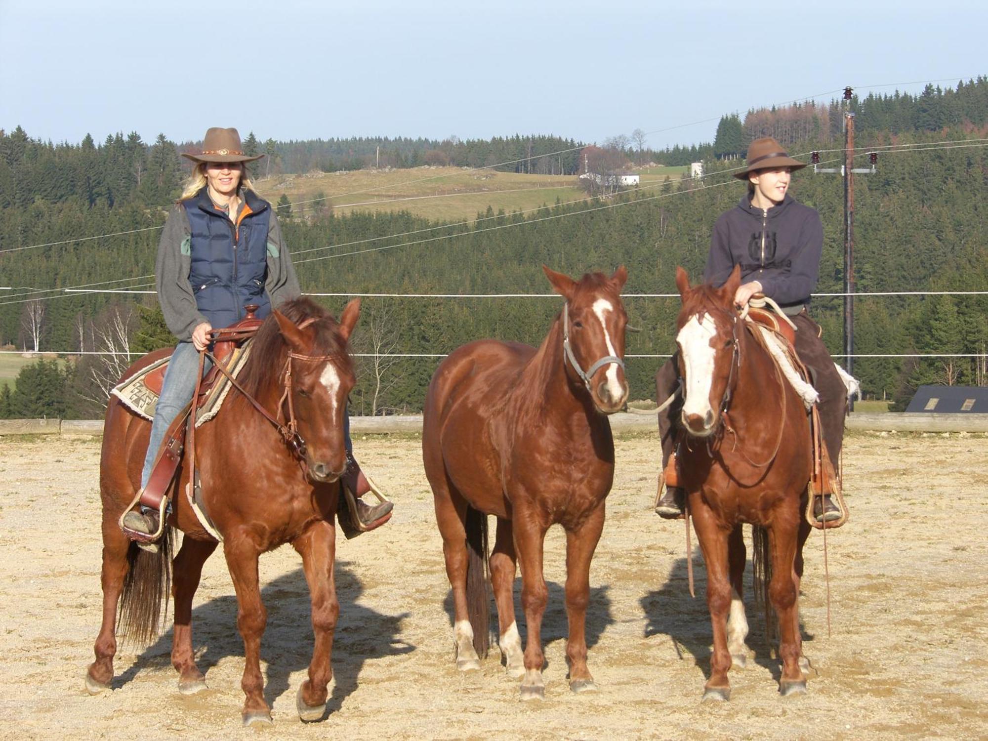 Espi-Stables Ferienhof Esterhammer Liebenau  Kültér fotó