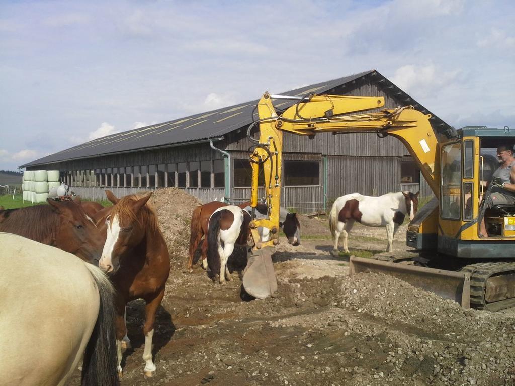 Espi-Stables Ferienhof Esterhammer Liebenau  Kültér fotó