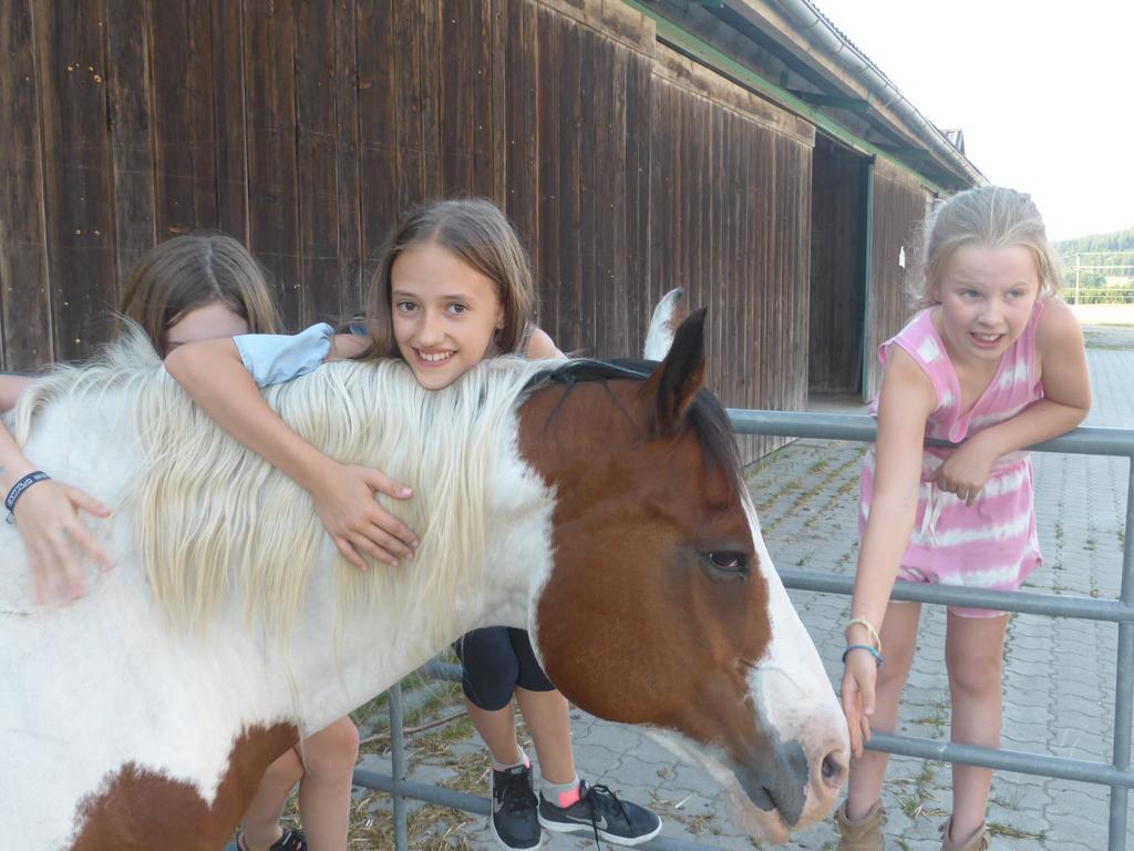 Espi-Stables Ferienhof Esterhammer Liebenau  Kültér fotó