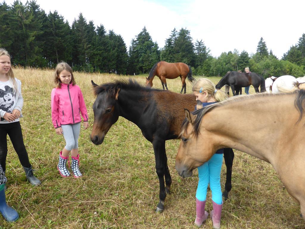 Espi-Stables Ferienhof Esterhammer Liebenau  Szoba fotó