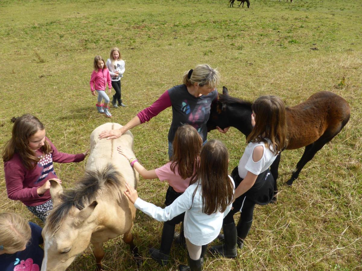 Espi-Stables Ferienhof Esterhammer Liebenau  Kültér fotó