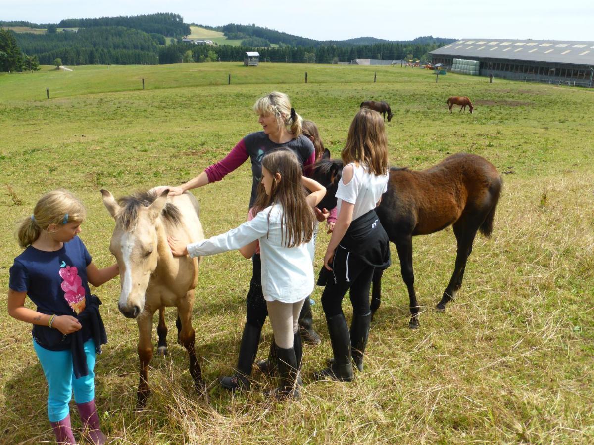 Espi-Stables Ferienhof Esterhammer Liebenau  Kültér fotó